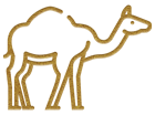 camel